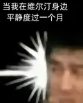 當我在維爾汀身邊平靜度過一個月 封面