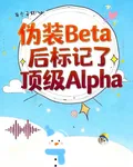 僞裝B後標記了頂級A 封面