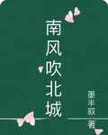 南風吹北城 封面