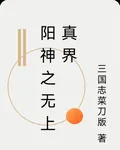 陽神之無上真界 封面