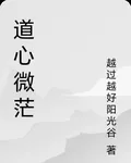 道心微茫 封面