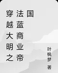 穿越大明之法藍商業帝國 封面