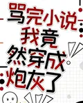 罵完小說我竟然穿成炮灰了 封面
