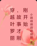 穿越葉羅麗，故事纔剛剛開始 封面