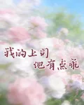 我的上司他有點乖 封面