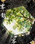 TF四代之霧散，皆過客 封面