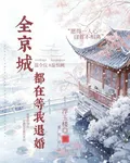 全京城都在等着我退婚 封面