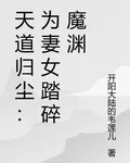 天道歸塵：爲妻女踏碎魔淵 封面