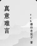 真意難言 封面