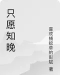 只願知晚 封面