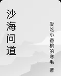 沙海問道 封面