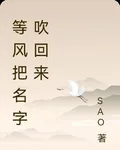 等風把名字吹回來 封面