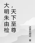 大明朱由檢，天下至尊 封面