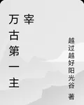 萬古第一主宰 封面