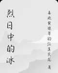 烈日中的冰 封面