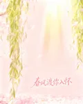 春風渡你入懷 封面