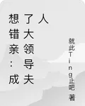 相錯親：成了大領導夫人 封面