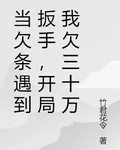 當欠條遇到扳手，開局我欠三十萬 封面