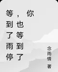 等雨停，等你1 封面