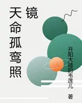天命孤鸞照鏡 封面