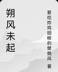 朔風未起 封面