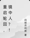 重啓輪迴，鏡中人？！ 封面