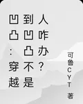 凹凸：穿越到凹凸不是人咋辦？ 封面
