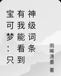 寶可夢：只有我能看到神級詞條 封面