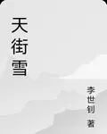 天街雪 封面