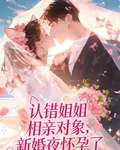 認錯姐姐相親對象，新婚夜懷孕了 封面