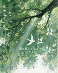 風攜過往 封面