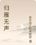 歸雁無聲 封面