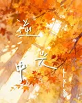 逆光中 封面