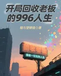 開局回收老闆的996人生 封面