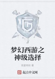 葉天毗舍童子 封面