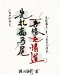 先扎高馬尾，再修無情道！ 封面