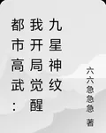 都市高武：我開局覺醒九星神紋 封面