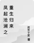 鳳起滄瀾之重生歸來 封面