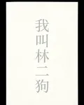 我叫林二狗 封面