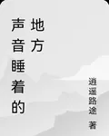 聲音睡着的地方 封面