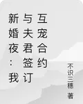新婚夜：我與夫君簽訂互寵合約 封面