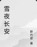 雪夜長安 封面