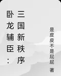 臥龍輔臣：三國新秩序 封面