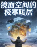 鏡面空間裏的極寒暖居 封面