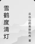雪鶴度清燈 封面
