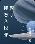 你怎麼也穿越了 封面