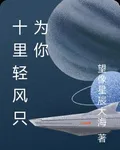 十里輕風只爲你 封面