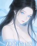 君心向婼 封面