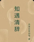 知遇清辭 封面