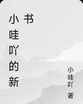 小哇吖的新書 封面